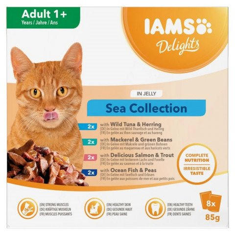 IAMS Delights mix smaków w galaretce adult 85 g × 8