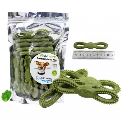 Prozoo Dental mięta 500 g