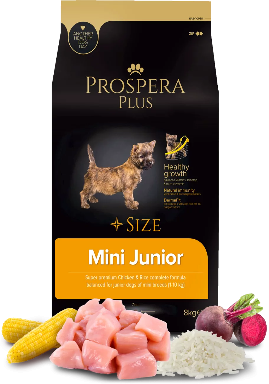 Prospera Plus Mini junior małe rasy 8 kg