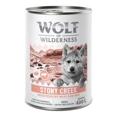Wolf of Wilderness Expedition drób, wołowina junior 400 g × 6