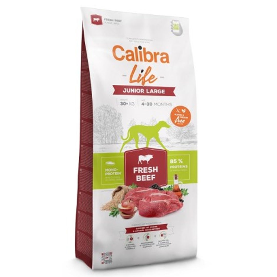Calibra Life wołowina junior duże rasy 12 kg