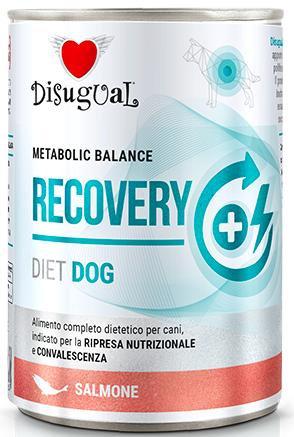 Disugual Veterinary Recovery łosoś 400 g