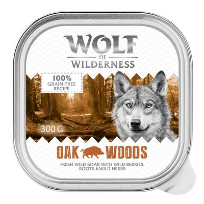 Wolf of Wilderness Monoprotein dziczyzna adult 300 g × 24