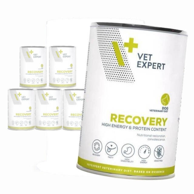 VetExpert 4T Veterinary Diet Dog Recovery 400 g × 6