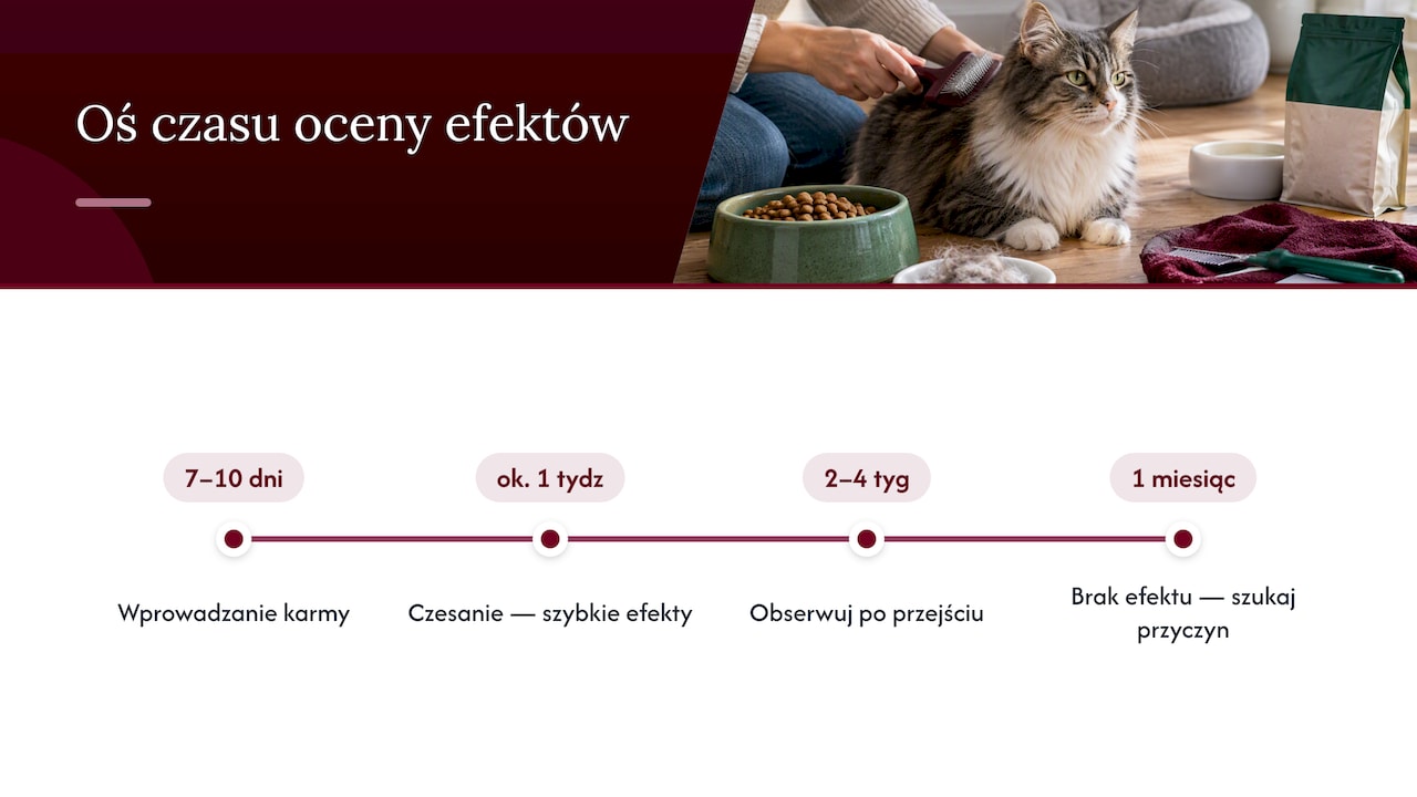 Oś czasu oceny skuteczności karmy przeciw kulkom włosowym