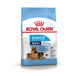 Royal Canin Maxi Starter Mother & Babydog kurczak duże rasy 4 kg