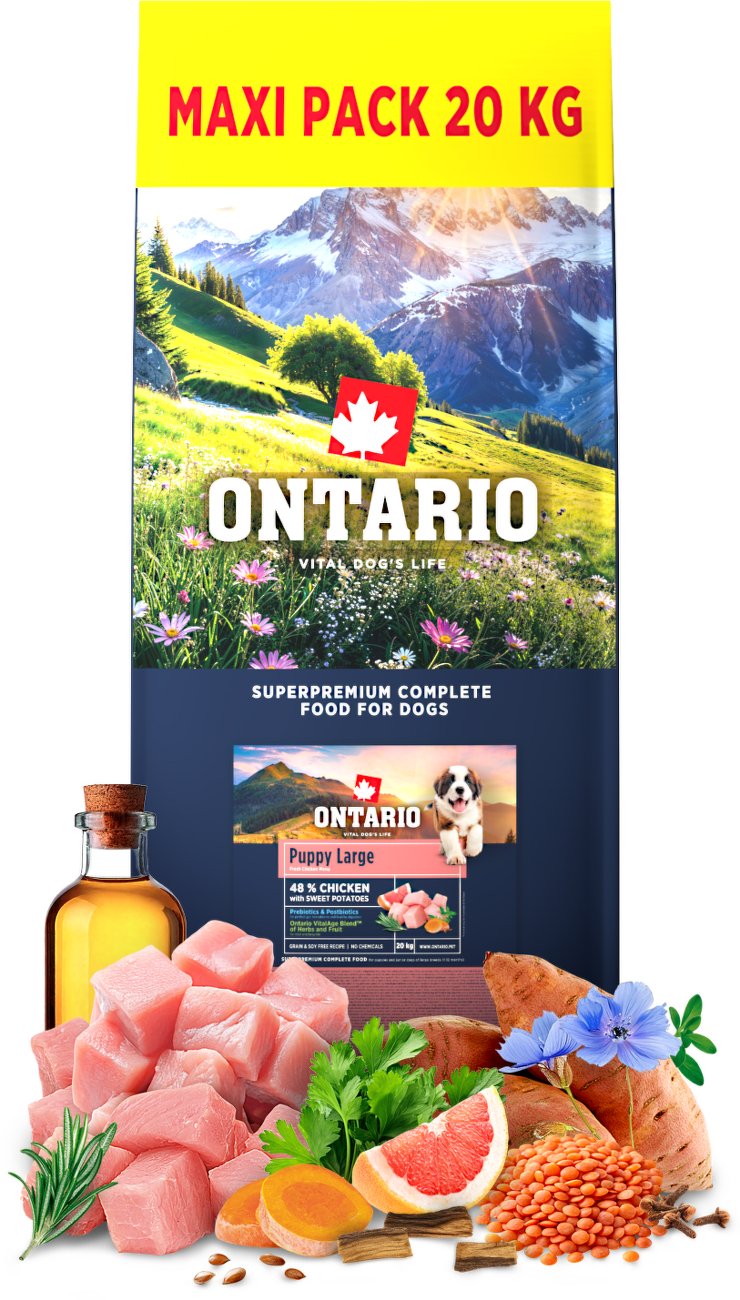 Ontario kurczak z batatem junior duże rasy 20 kg
