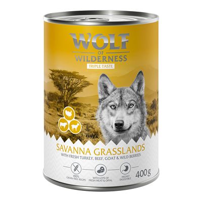 Wolf of Wilderness The Taste Of indyk, kozina, wołowina adult 400 g × 12