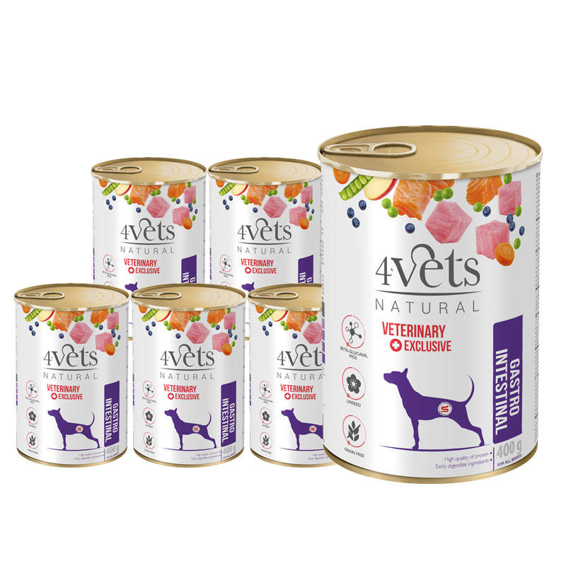 4Vets Natural Gastro Intestinal indyk, łosoś 400 g × 6