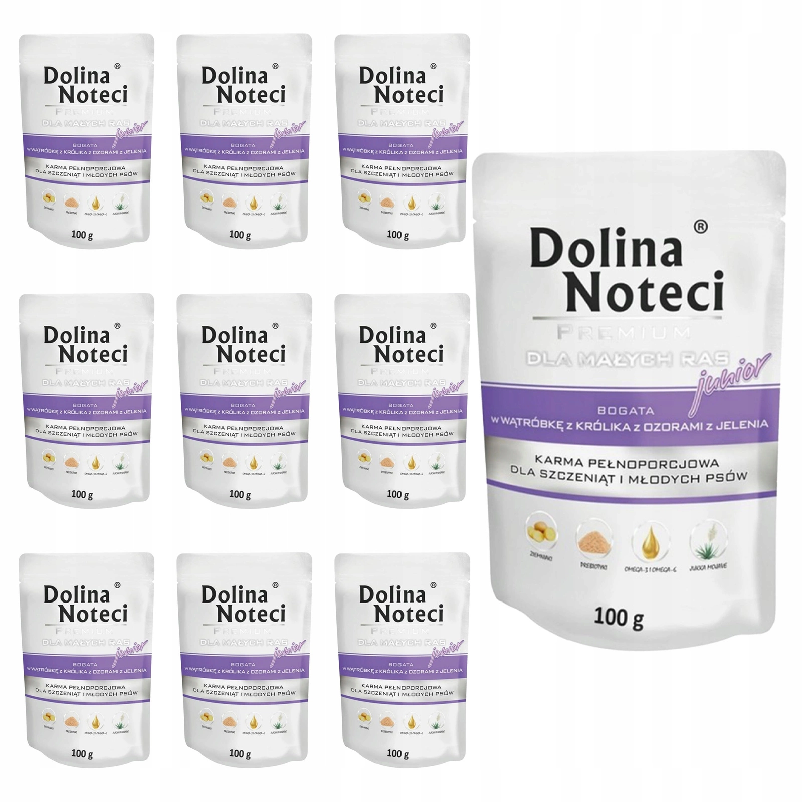 Dolina Noteci Premium królik junior 100 g × 10