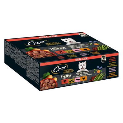 Cesar Natural Goodness Superfoods drób, indyk, wołowina, łosoś 100 g × 24