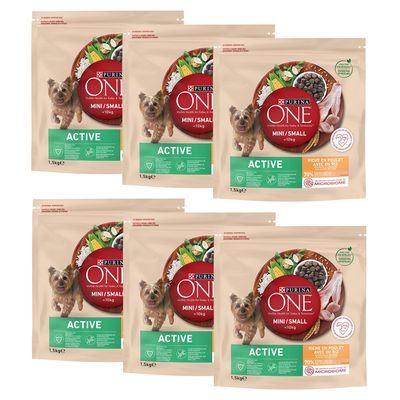 Purina ONE Mini Active kurczak adult małe rasy 9 kg × 2