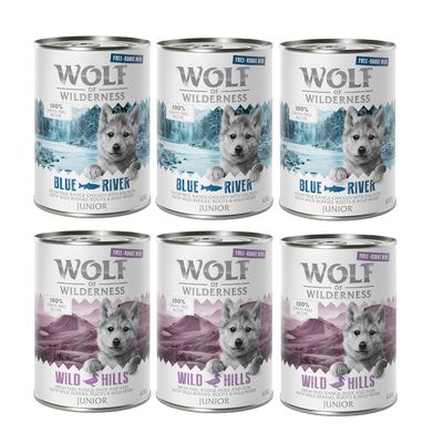 Wolf of Wilderness kurczak, łosoś, kaczka, cielęcina junior 400 g × 24