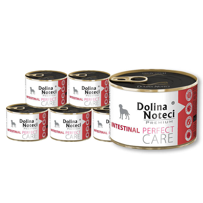 Dolina Noteci Premium Perfect Care Intestinal kurczak, wieprzowina adult 185 g × 12