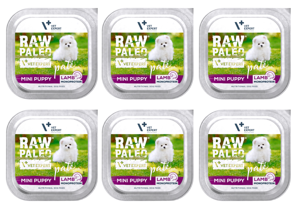 VetExpert Raw Paleo jagnięcina puppy małe rasy 150 g × 6