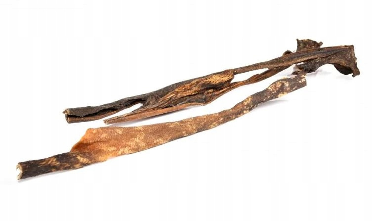 Petmex Skóra z dzika 15 cm 200 g