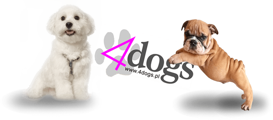 4Dogs