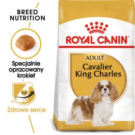 Royal Canin Cavalier King Charles kurczak adult małe rasy 1.5 kg × 2