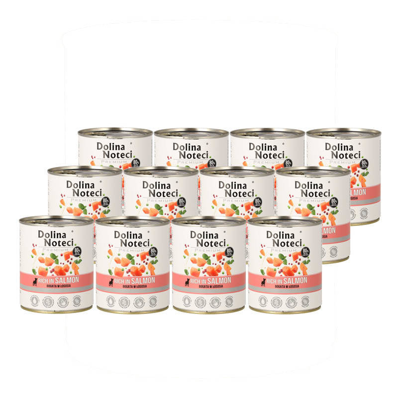 Dolina Noteci Premium łosoś adult 800 g × 12