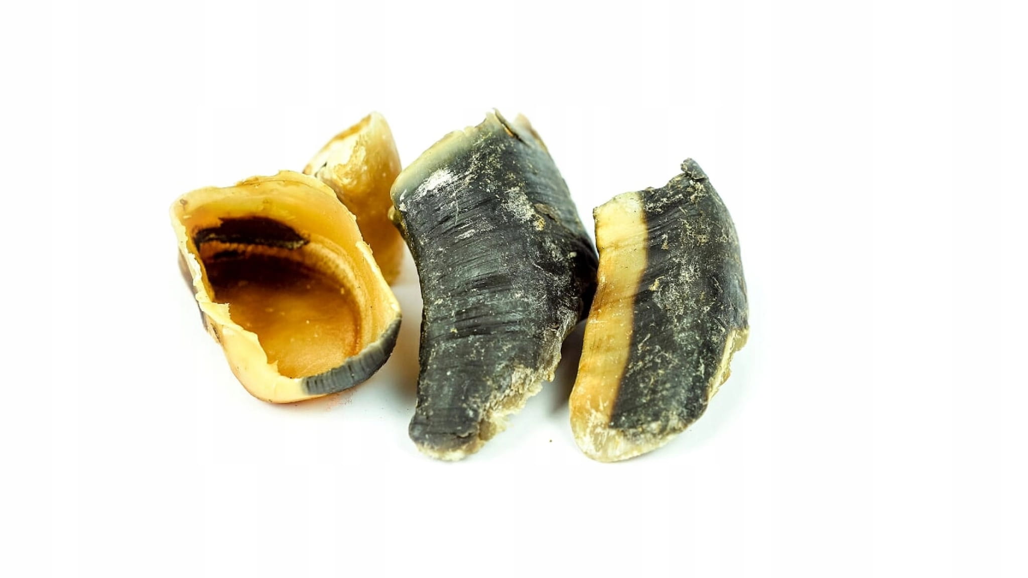 Champion wołowina 500 g