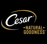 Cesar