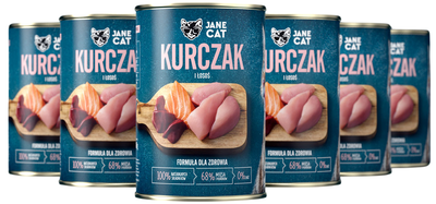 Jane Cat kurczak, łosoś pasztet adult 400 g × 6
