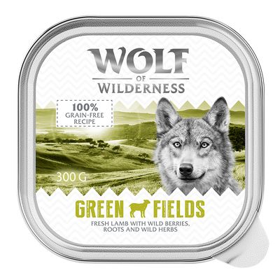 Wolf of Wilderness Monoprotein jagnięcina adult 300 g × 24