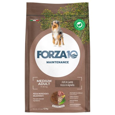 Forza10 Maintenance jagnięcina adult średnie rasy 12 kg