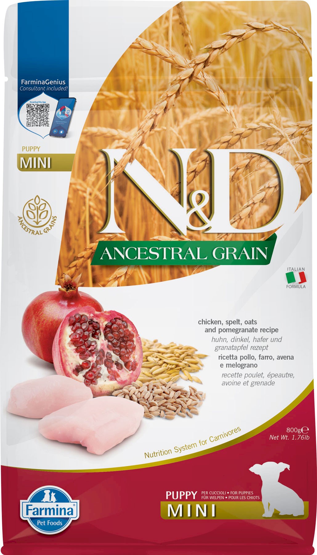 Farmina N&D Ancestral Grain kurczak z orkiszem, owsem puppy małe rasy 800 g