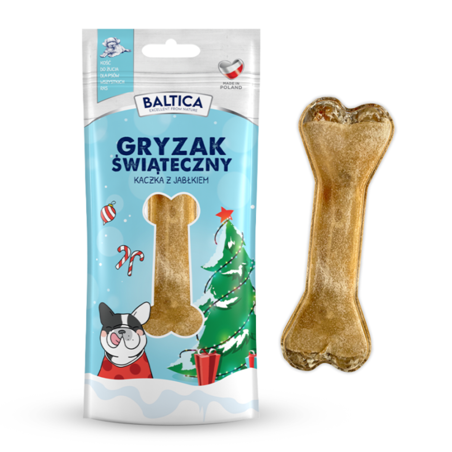 Baltica kaczka