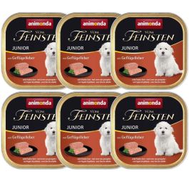 Animonda Vom Feinsten kurczak junior 150 g × 6