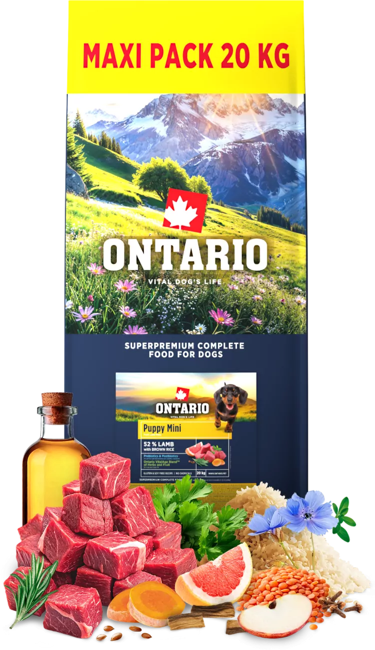 Ontario jagnięcina z ryżem junior małe rasy 20 kg