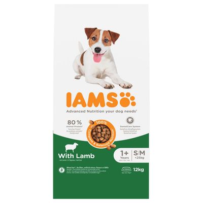 IAMS Advanced Nutrition jagnięcina adult małe rasy, średnie rasy 12 kg × 2