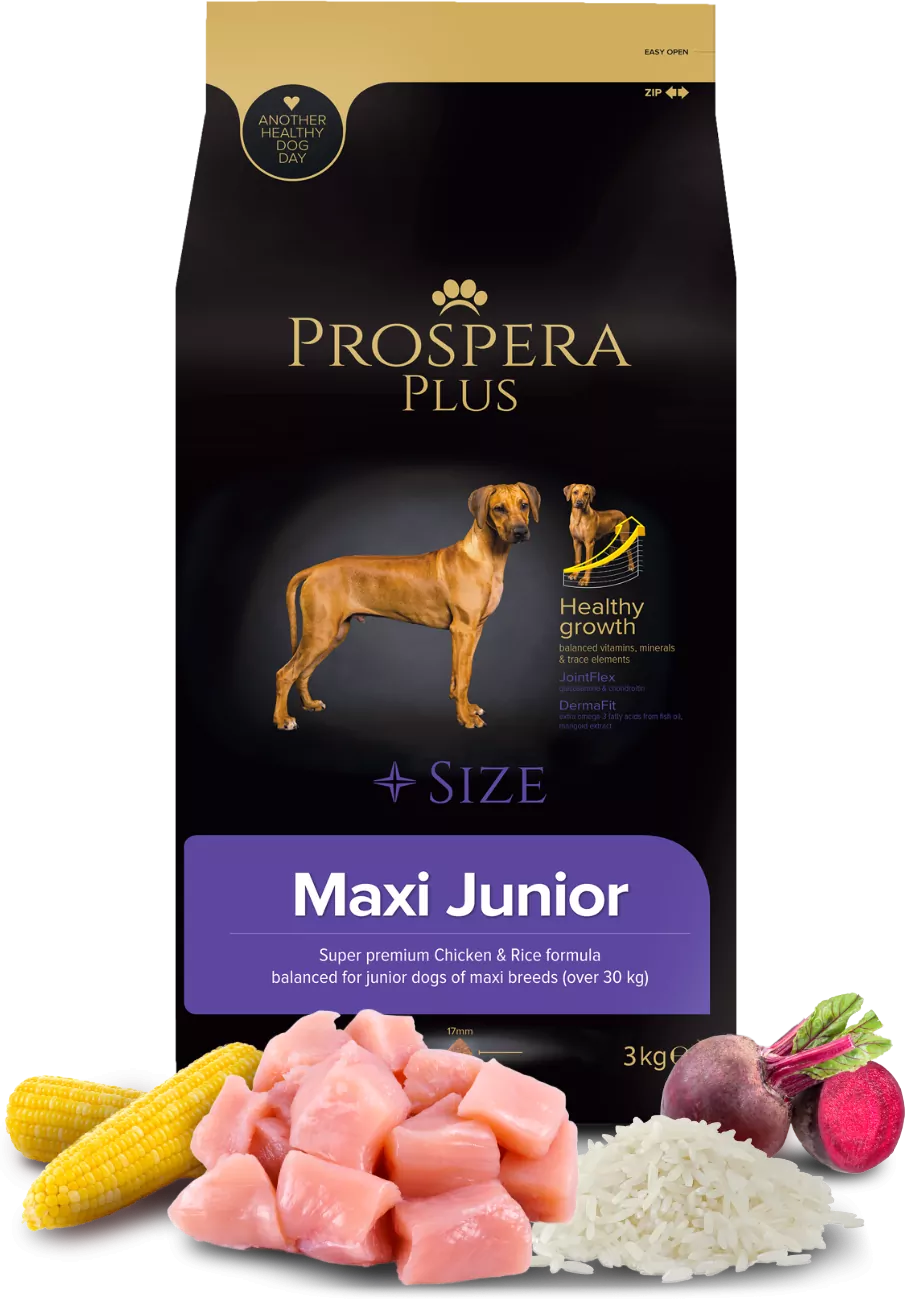 Prospera Plus Maxi kurczak z ryżem junior duże rasy 3 kg