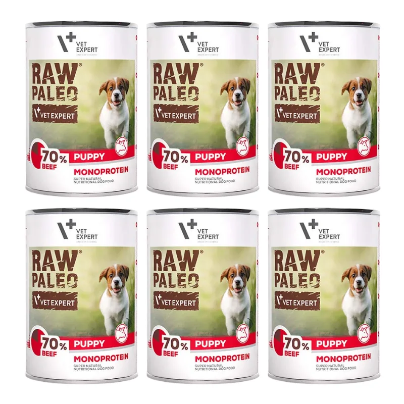 VetExpert Raw Paleo wołowina junior 400 g × 6