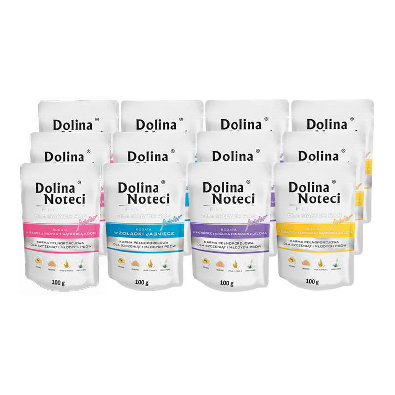 Dolina Noteci Premium junior małe rasy 100 g × 12