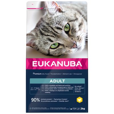 Eukanuba Top Condition indyk, kurczak adult 2 kg × 3