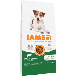 IAMS Advanced Nutrition jagnięcina adult małe rasy, średnie rasy 12 kg