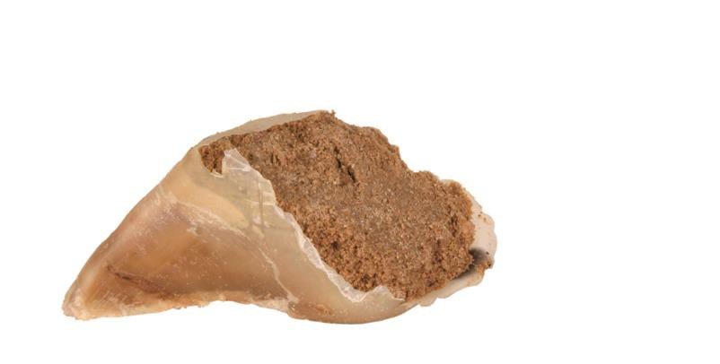 Trixie wołowina 110 g