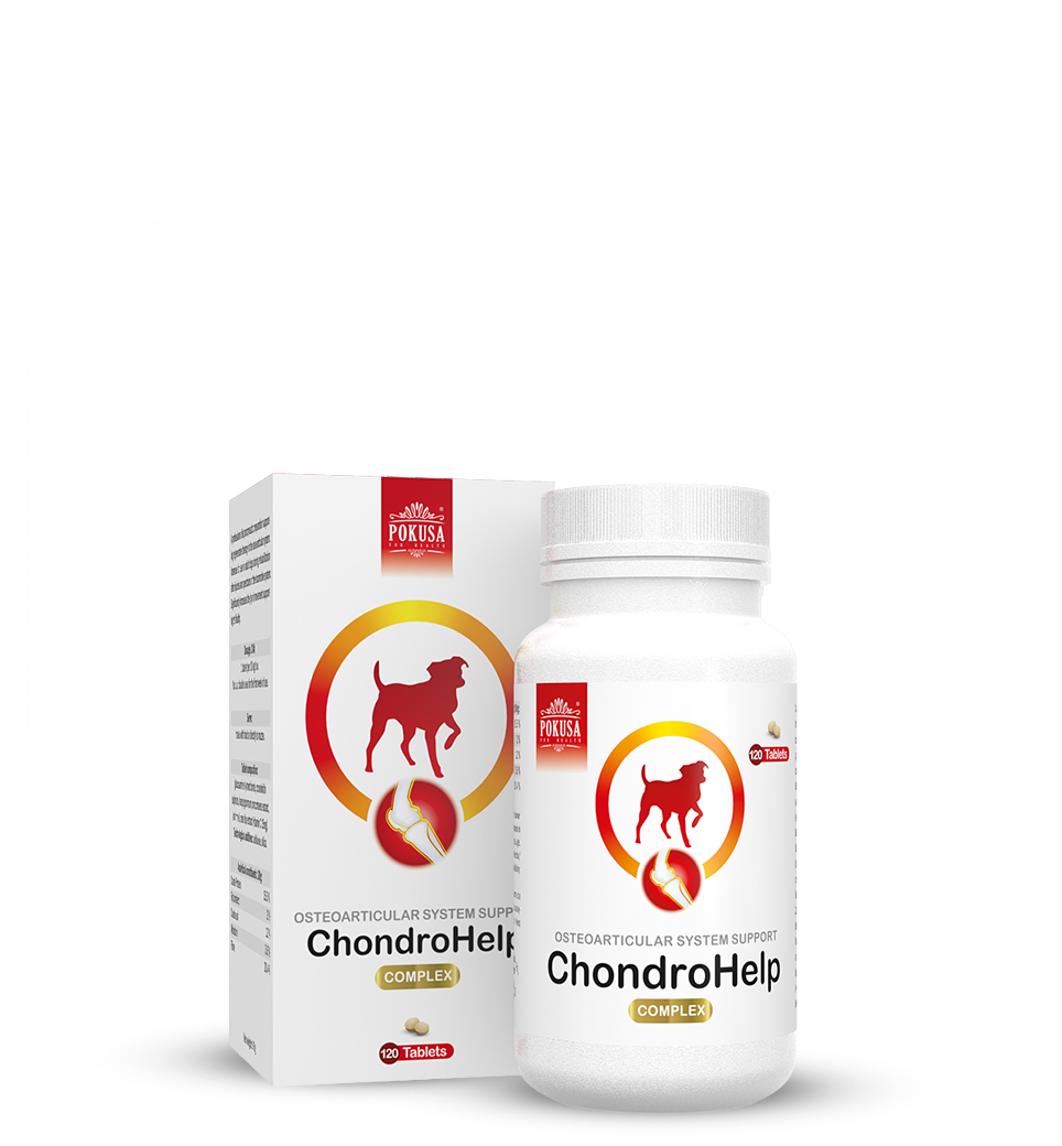 Pokusa ChondroHelp adult