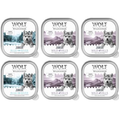 Wolf of Wilderness Duo-Protein cielęcina, kaczka, kurczak, łosoś junior 150 g × 24