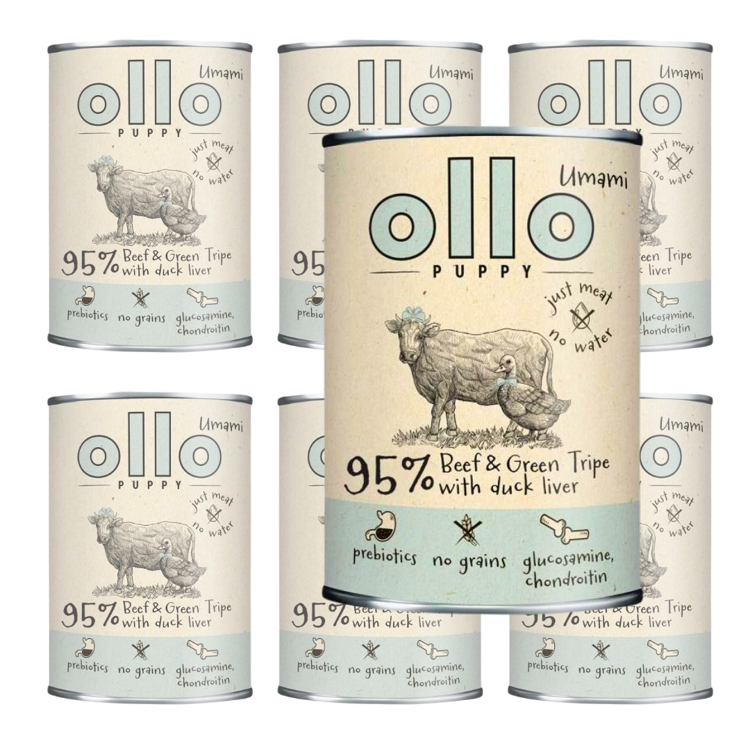 Ollo Umami wołowina, żwacze puppy 400 g × 6