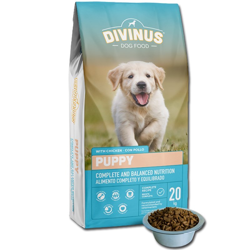 Divinus kurczak puppy 20 kg