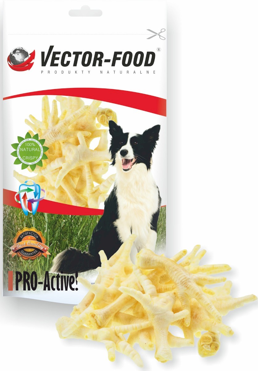 Vector-Food kurczak