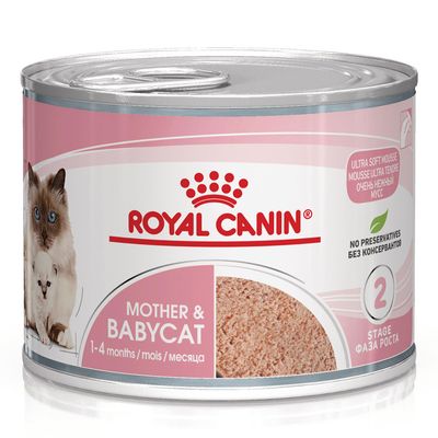 Royal Canin Mother & Babycat pasztet kitten 195 g × 48