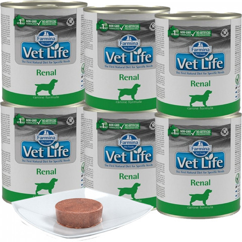 Farmina Vet Life Renal 300 g × 6