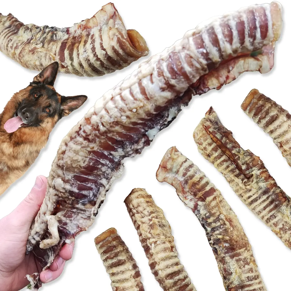 ZooPoint Snacks wołowina