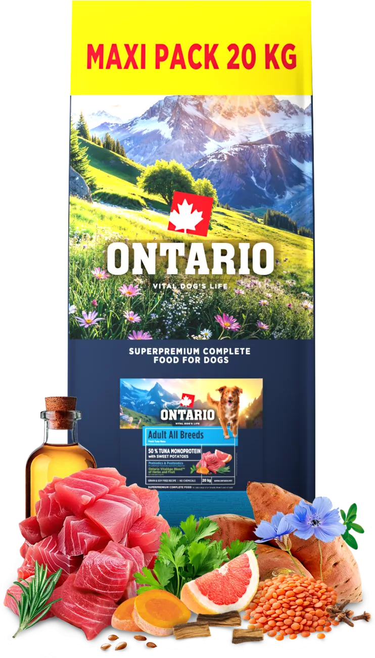 Ontario tuńczyk z batatem adult 20 kg