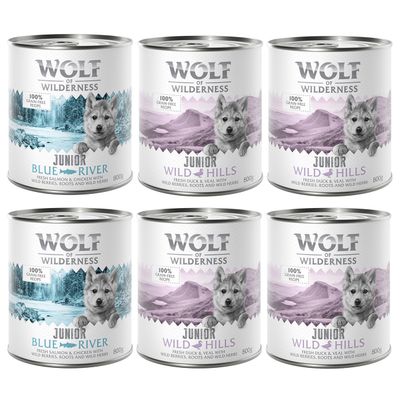 Wolf of Wilderness cielęcina, kaczka, kurczak, łosoś junior 800 g × 6