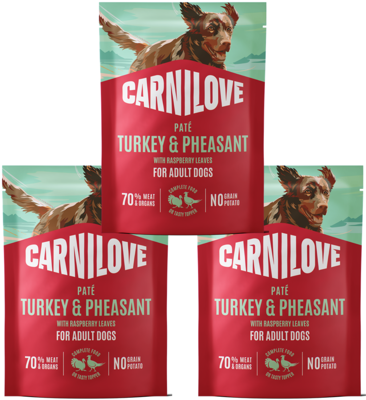 Carnilove indyk, bażant 300 g × 3
